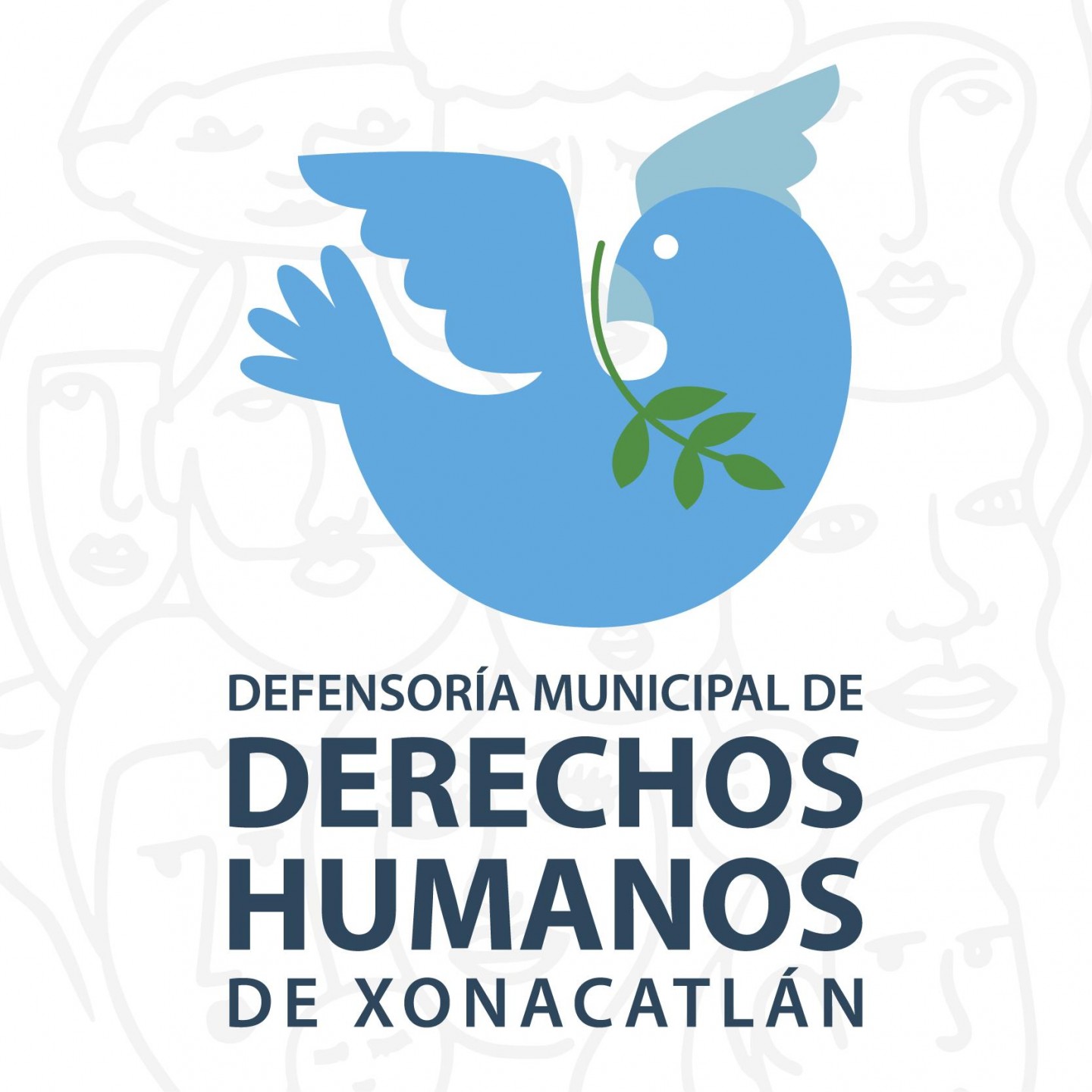 Imagen 5